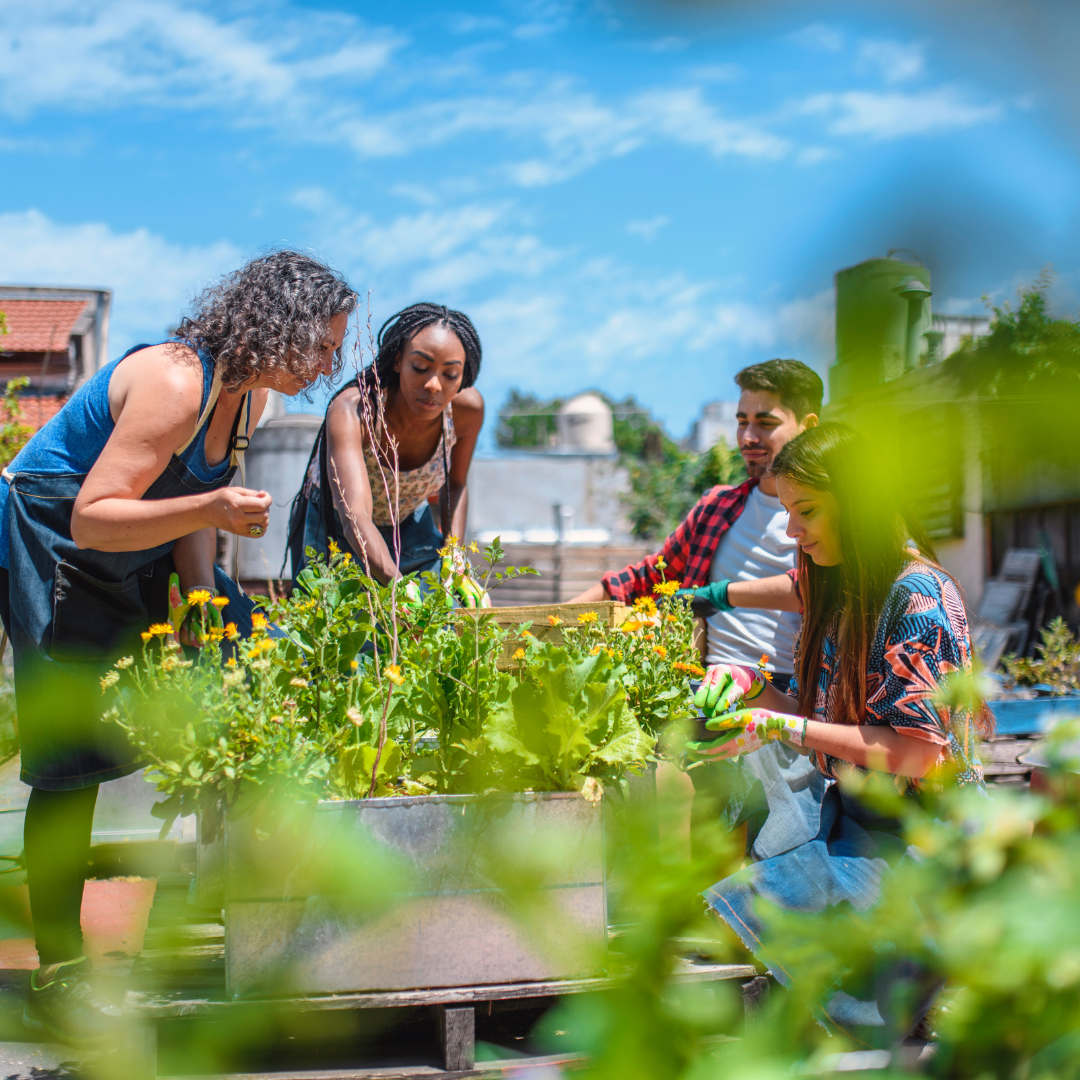 Can Cities Feed Themselves?